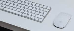 apple mouse, why?